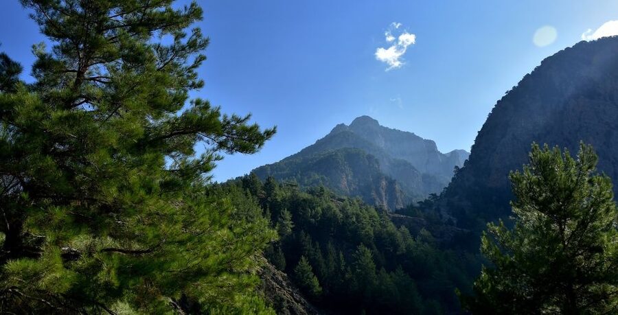 Samariá Gorge Hike: Day Excursion from Chania - Reaching Agia Roumeli and the Sea