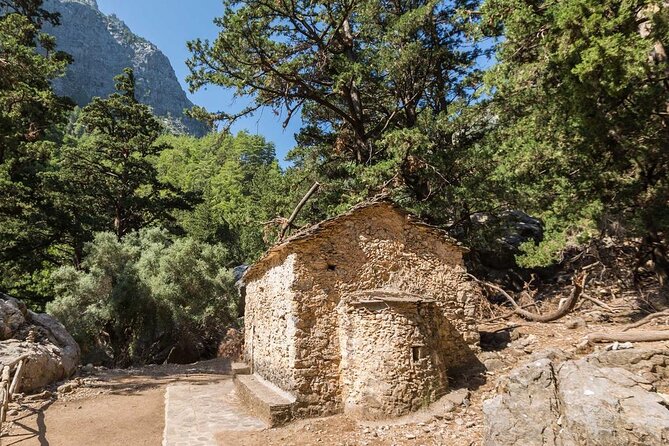 Samaria Gorge Hiking from Chania with Professional Hiking Guide - What the guide adds to the day