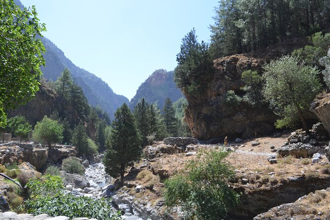 Samaria Gorge Hiking Tour from Chania with Professional Guide - Starting at Ksyloskalo on the Omalos plateau