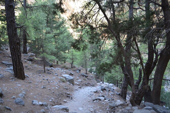 Samaria Gorge Hiking Tour from Chania with Professional Guide - Reaching Agia Roumeli and the Libyan Sea