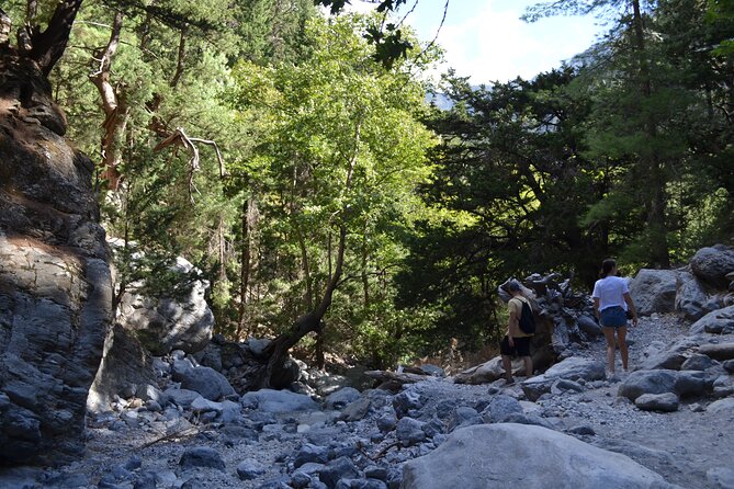 Samaria Gorge Hiking Tour from Chania with Professional Guide - The 17:30 ferry and return through Sougia