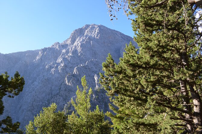 Samaria Gorge Hiking Tour from Chania with Professional Guide - What the $36.05 price really covers