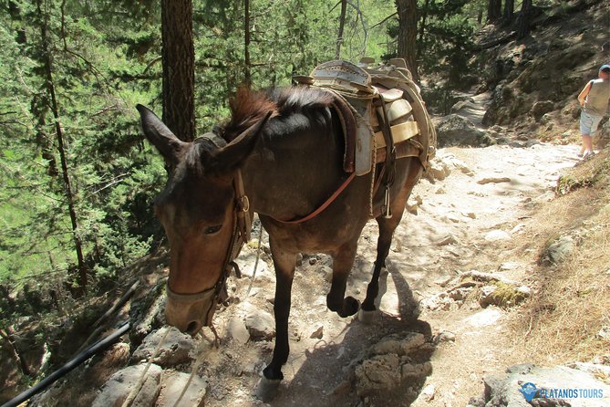 Samaria Gorge Trek: Full-Day Excursion from Chania with Guide - Agia Roumeli is the reward at the bottom