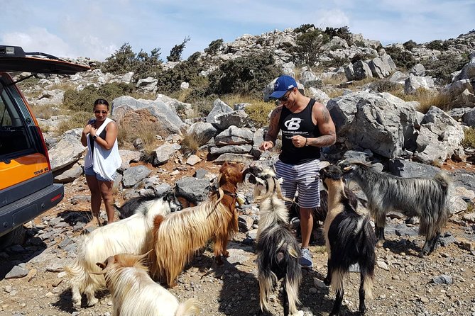 Sarakina Gorge, Kritza, Oliveoil Tasting, Mountains, South Coast - A mountain taverna lunch with wine and raki