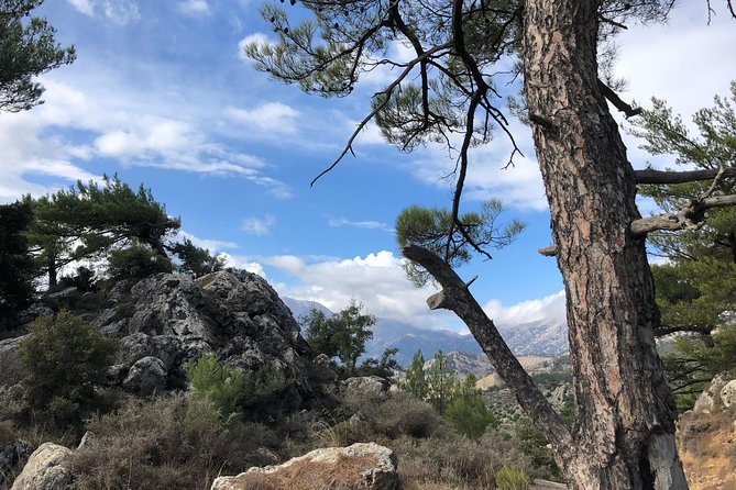 Sarakina Gorge, Kritza, Oliveoil Tasting, Mountains, South Coast - Guides, group size, and the feel of the day