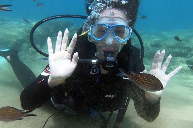 Scuba Diving for Beginners with a PADI Instructor near Heraklion - Equipment, water, and the video option