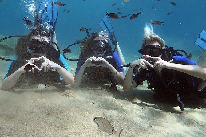 Scuba Diving for Beginners with a PADI Instructor near Heraklion - Is $84.11 good value near Heraklion?