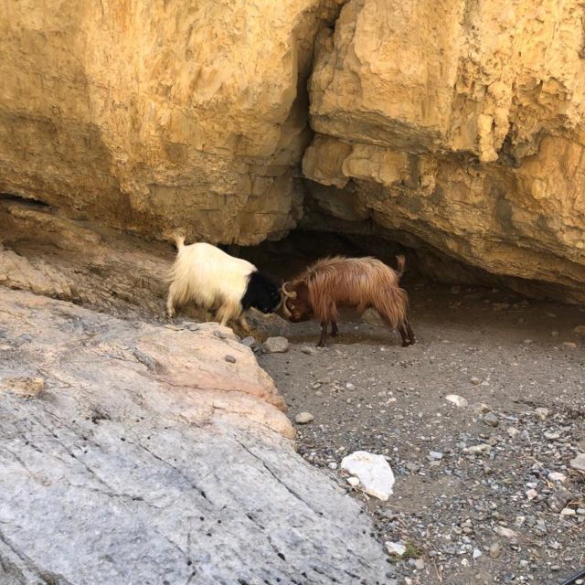 Self-Drive 4X4 Jeep Safari - South Crete Swimming & Canyons - The final coastal views and return journey