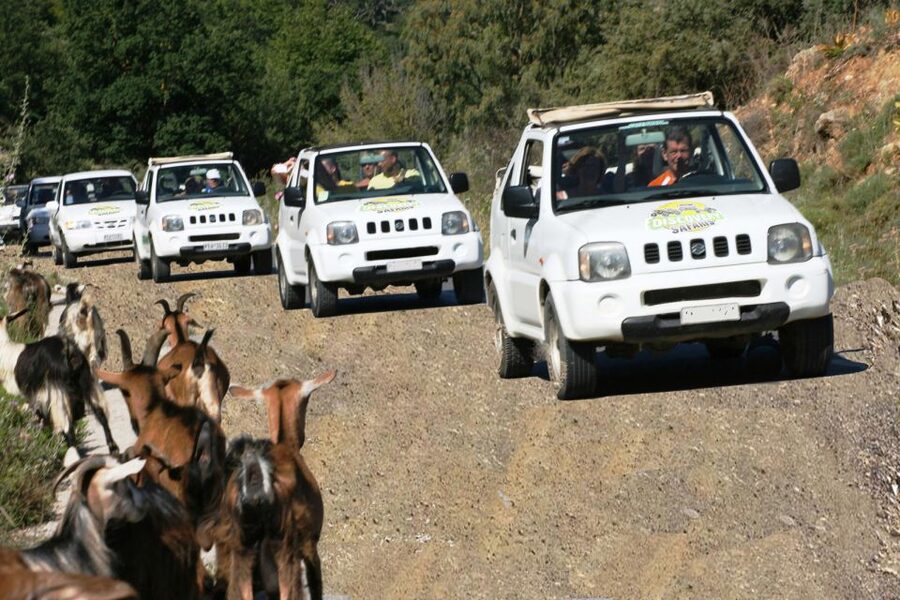 Self-Drive Jeep Safari to South Coast, Palm Beach & Canyons - A long regional-food stop puts lunch at the center