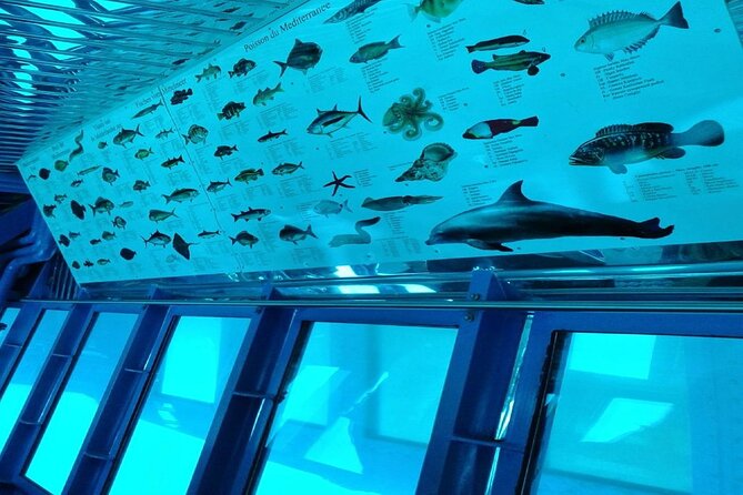 Semi-Submarine Tour from Agios Nikolaos - How good is the value at $18.92?