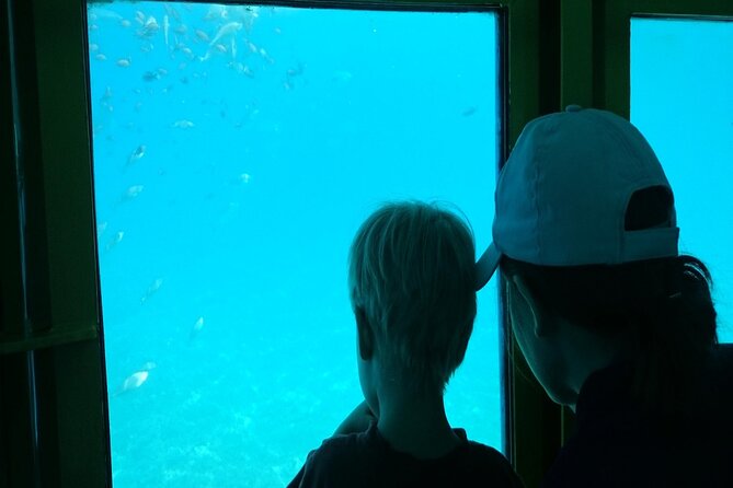 Semi-Submarine Tour from Agios Nikolaos - How the audio guide affects the outing
