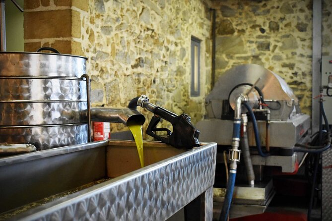 Small-Group Honey & Extra Virgin Olive Oil Tasting Tour in Crete - A one-hour taste of working Crete