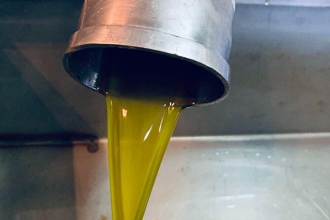 Small-Group Honey & Extra Virgin Olive Oil Tasting Tour in Crete - Meeting the family behind Idiosmos