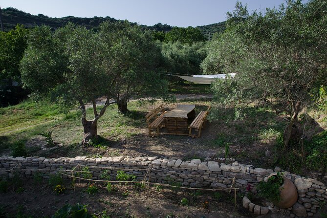 Small-Group Wine Tasting Activity in West Chania - Cretan food that does real work