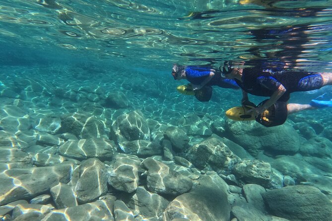 Snorkeling Tour with Sea Scooter in Heraklion - Forty-Five Minutes of Marine Life in Mononaftis