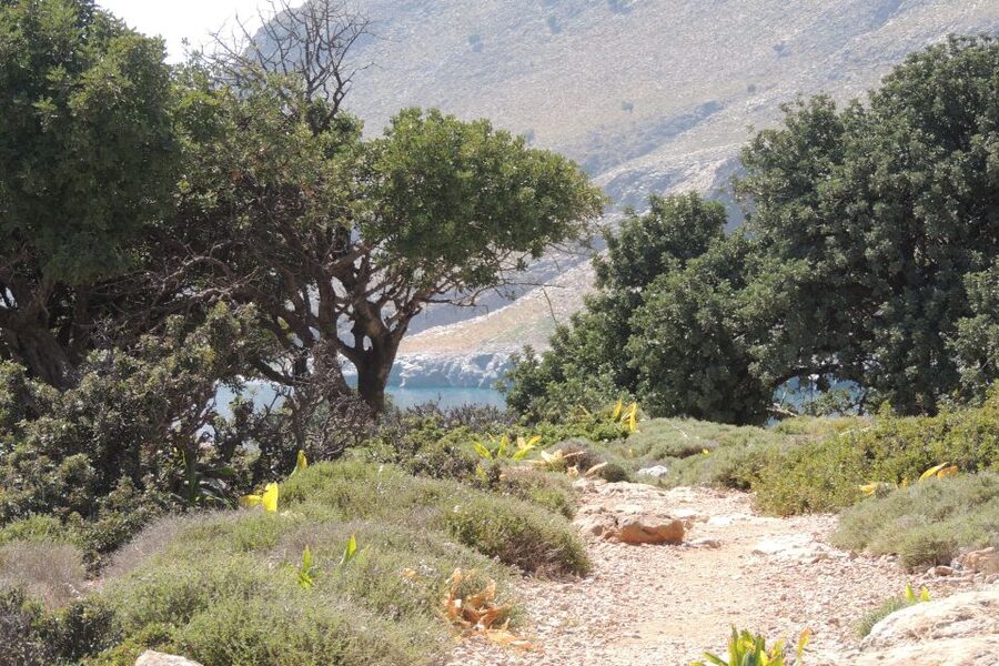 South Crete: Sarakinas Gorge Hike, Swim & Jeep Safari - Key points to know before booking