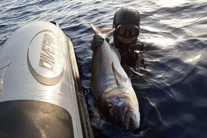 Spearfishing in Chania, Crete (price is per group) - Who should book this Chania experience?