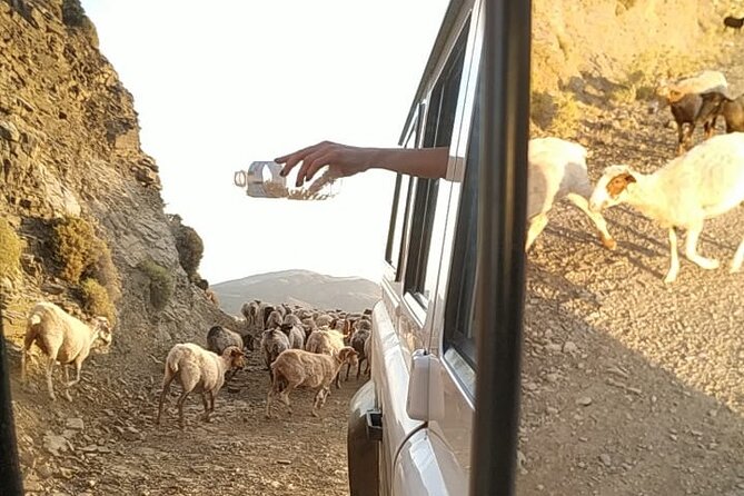 Sunset Jeep Tour in Crete - The Ebassas gorge and Crete’s mountain herbs