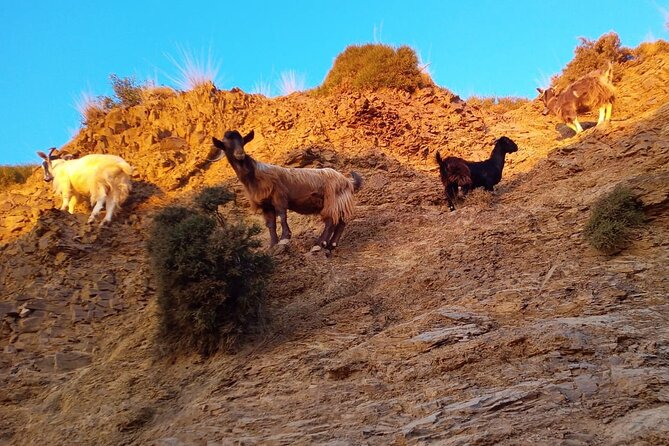 Sunset Jeep Tour in Crete - Guides, music, photos, and the human touch