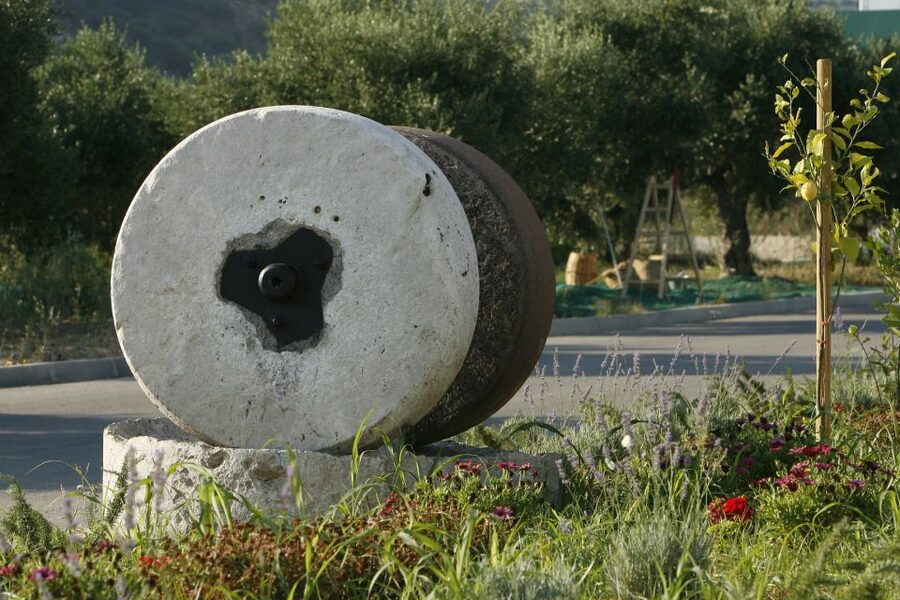The Terra Creta Olive Oil Experience Tour - Why this small Cretan factory visit works