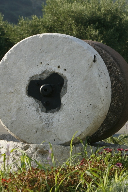 The Terra Creta Olive Oil Experience Tour - Is $11 good value for one hour?