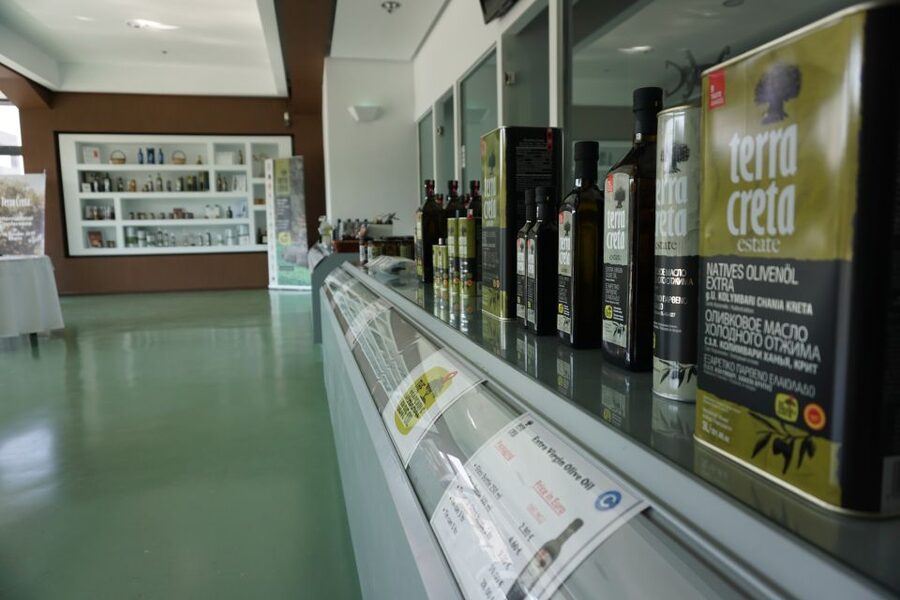 The Terra Creta Olive Oil Experience Tour - Should you book the Terra Creta Olive Oil Experience?