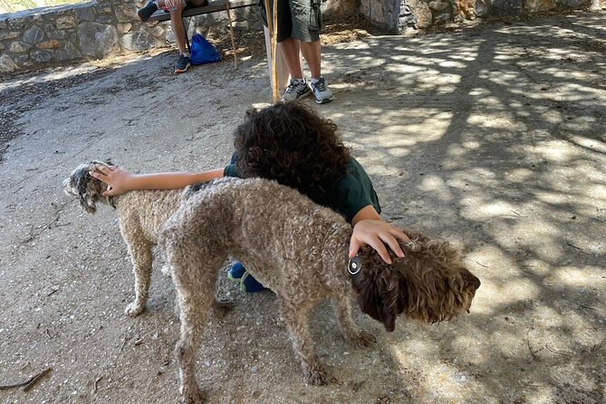 Truffle Hunting, Culinary & Wine Celebration from Heraklion - A truffle hunt with a genuine Cretan setting