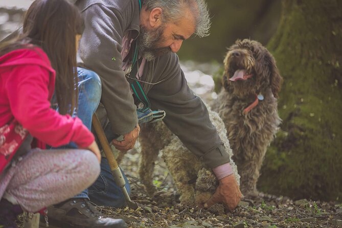 Truffle Hunting, Culinary & Wine Celebration from Heraklion - Walking the woods with Nicos and his dogs