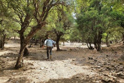 Truffle Hunting, Culinary & Wine Celebration from Heraklion