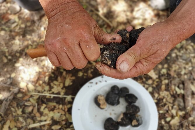 Truffle Hunting, Culinary & Wine Celebration from Heraklion - Dikteon Cave and the story of Zeus