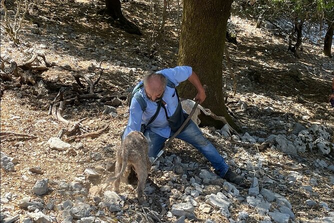 Truffle Hunting, Culinary & Wine Celebration from Heraklion - Why the private vehicle matters