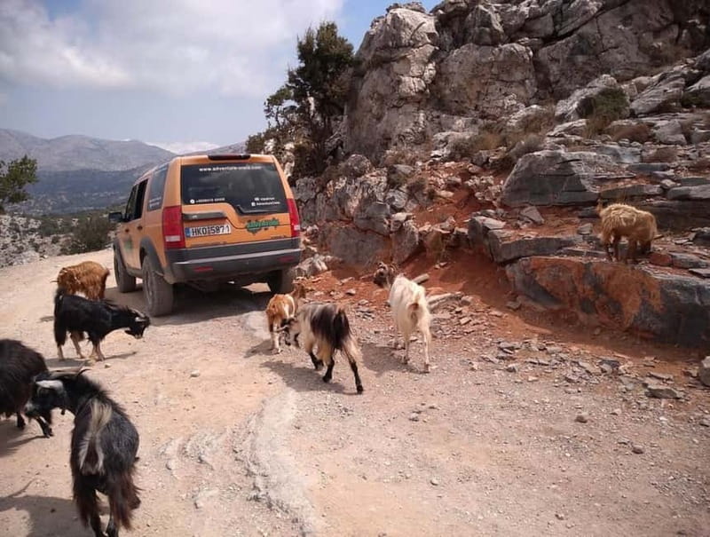 VIP Full-Day Private Tour (See the best with Professionals) - What your guide adds to the day