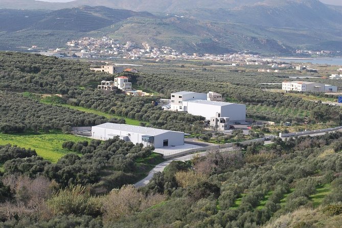Wine, Beer, Olive Oil Tasting Private Tour (price per group of 6) - Why This Tour Works for Food-Minded Visitors