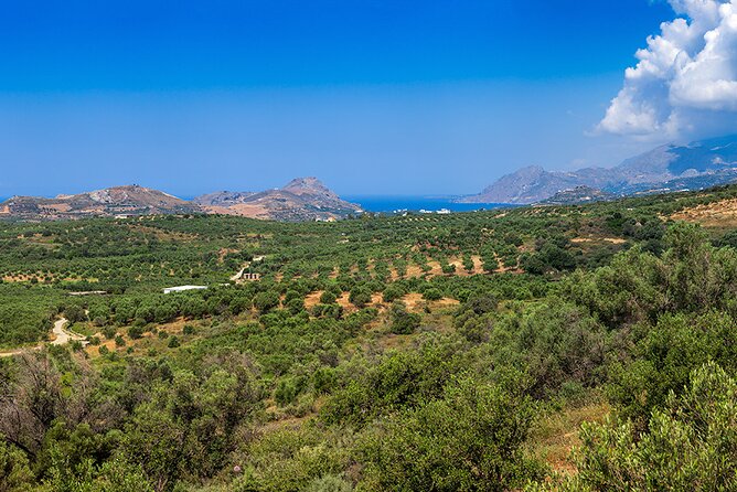Wine, Beer, Olive Oil Tasting Private Tour (price per group of 6) - Anoskeli Winery and Olive Mill: Two Cretan Staples Together