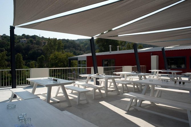 Wine, Beer, Olive Oil Tasting Private Tour (price per group of 6) - Vouves and Its 5000-Year-Old Olive Tree