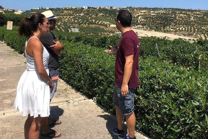 Wine olive and Food of Crete, Heraklion - A winery day, not a standard Heraklion food walk