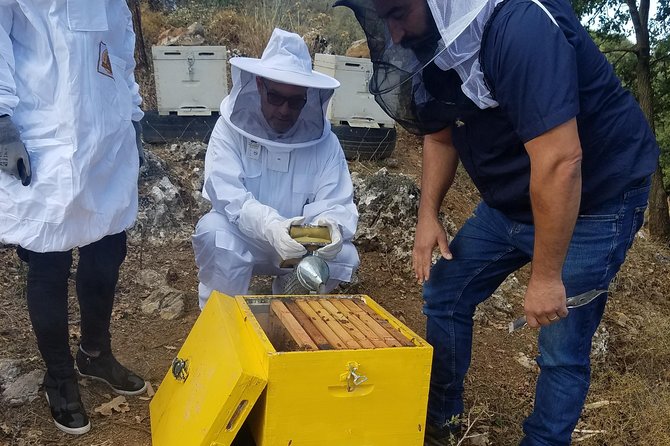 Wine, Olive Oil, and Honey Tour with Winemaker - Key points at a glance