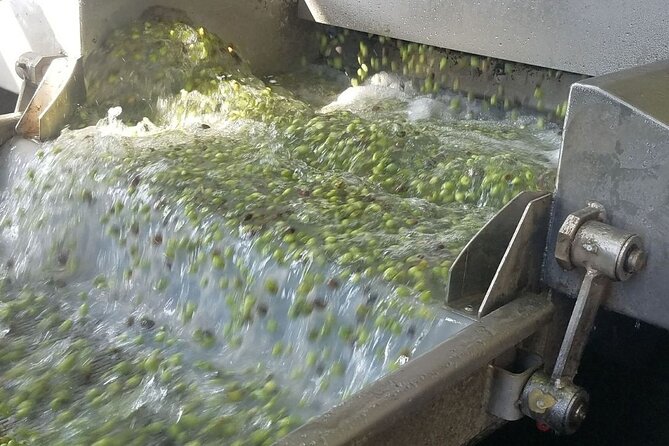 Wine, Olive Oil, and Honey Tour with Winemaker - A full day in the Cretan countryside