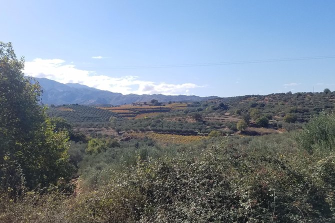Wine, Olive Oil, and Honey Tour with Winemaker - Mountain roads and views across Crete