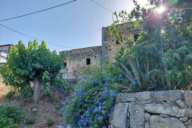 Wine Tasting: Meet the Cretan Vineyard at West Chania - The human side of the presentation