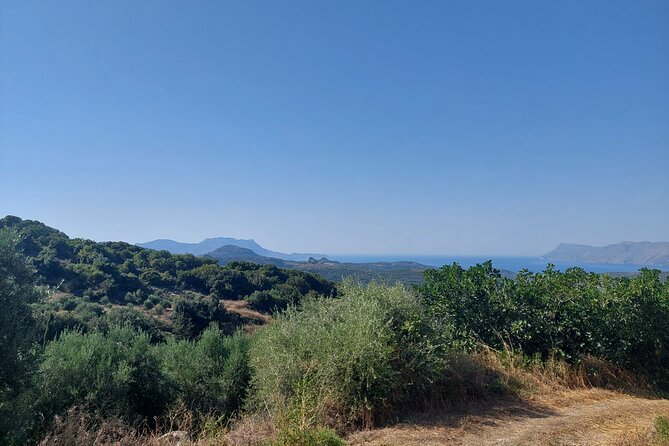 Wine Tasting: Meet the Cretan Vineyard at West Chania - How much value do you get for $60.01?