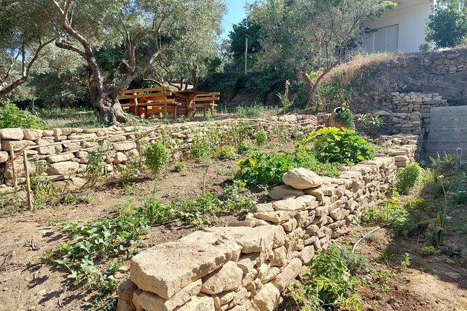 Wine Tasting: Meet the Cretan Vineyard at West Chania - The food pairings are part of the point