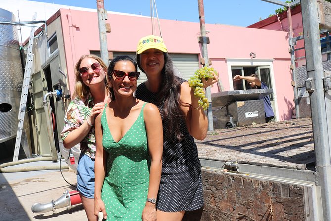 "YAMAS" - Winery tour &wine tasting - Six wines, two Cretan grapes, one useful comparison